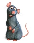 Il topo di Ratatouille